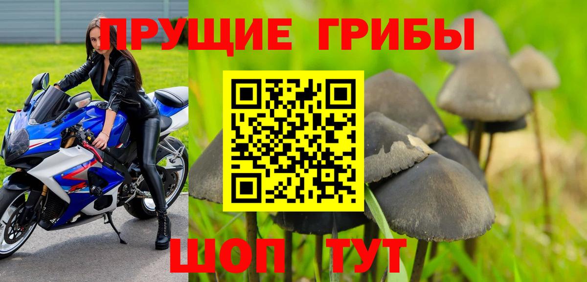 Псилоцибиновые грибы Psilocybe  Вход с VPN  Лангепас 
