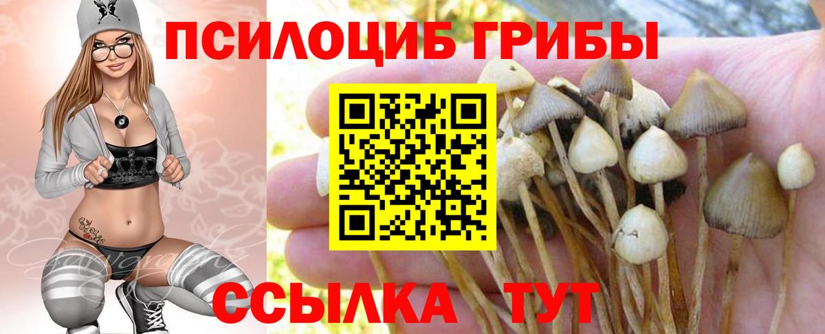 Галлюциногенные грибы Psilocybine cubensis Лангепас